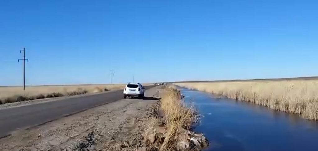 На реке в Бухаржырауском районе обнаружили массовую гибель рыбы