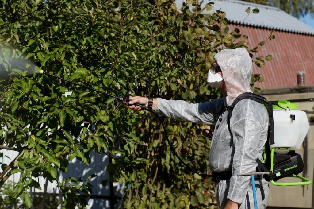 Пора задуматься о здоровье рассады: выбираем садовый опрыскиватель