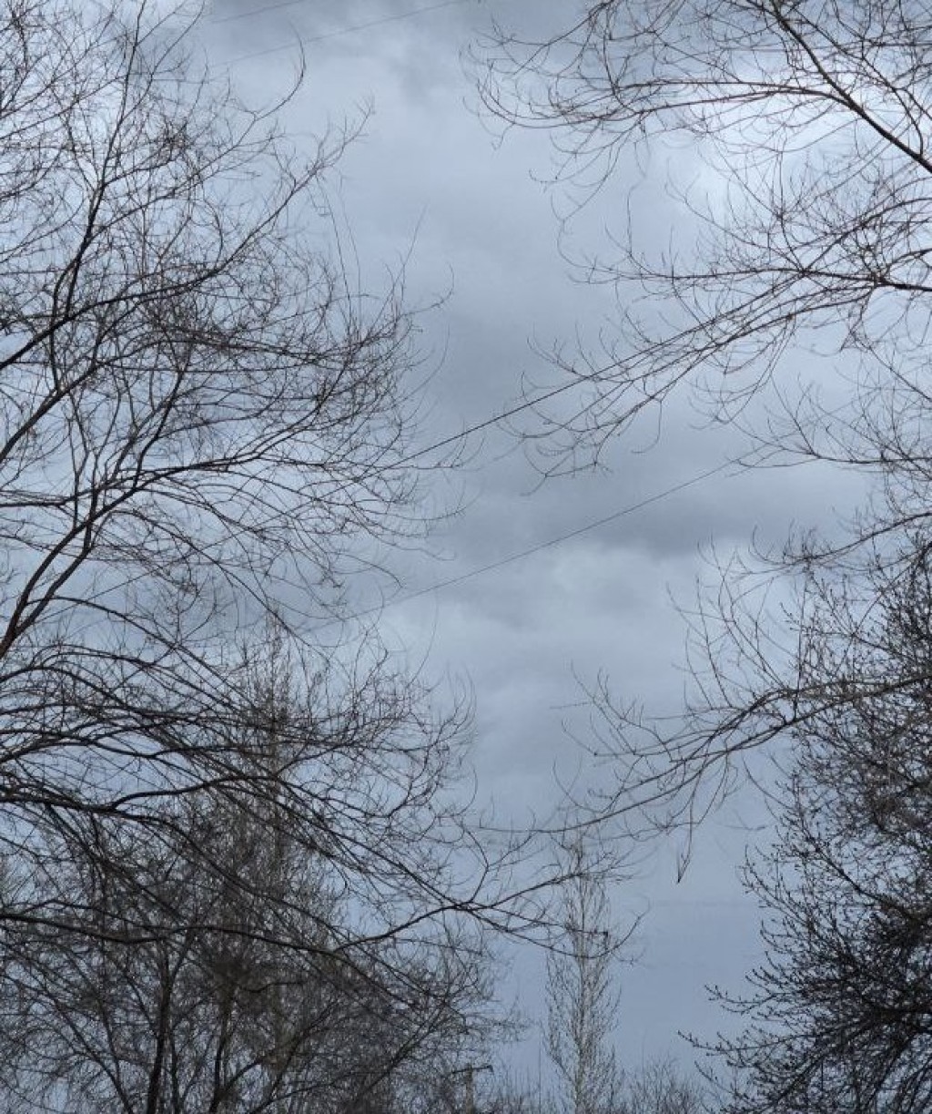 В Казахстане ожидаются осадки, туман и похолодание до минуса