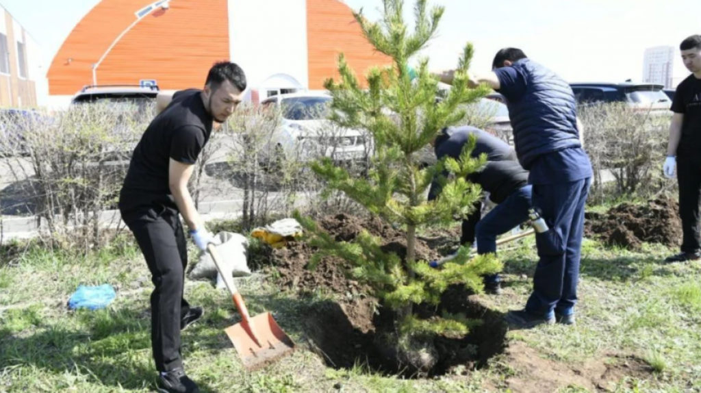 В Казахстане высадили более 1,3 млрд деревьев с 2021 года
