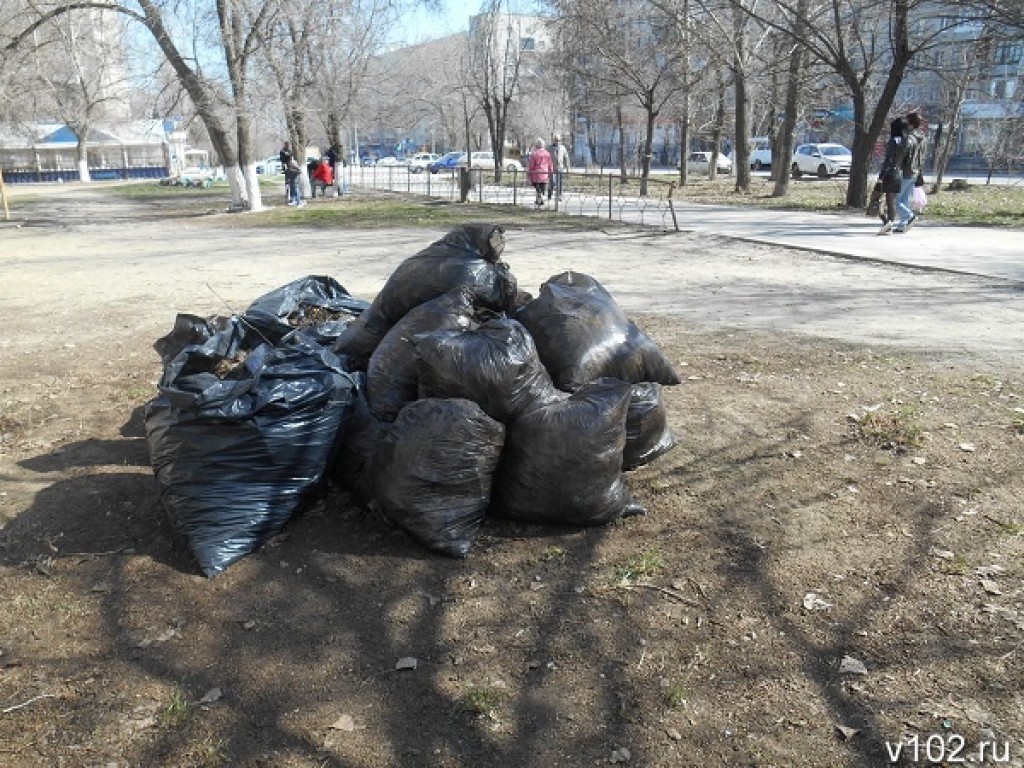 Карагандинцев призывают выйти на субботник