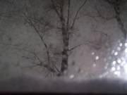 Фото: ekaraganda.kz