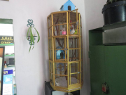 Фото: polisia.kz