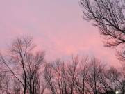 Фото: ekaraganda.kz