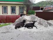 Фото: ekaraganda.kz