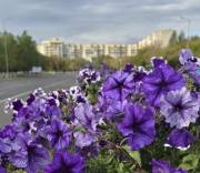 Фото: ekaraganda.kz