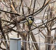 Фото: ekaraganda.kz