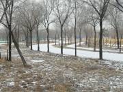 Фото: ekaraganda.kz