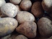 Фото: ekaraganda.kz