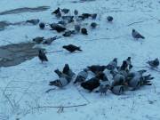 Фото: ekaraganda.kz