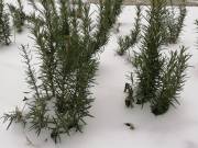 Фото: ekaraganda.kz