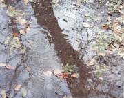 Фото: ekaraganda.kz