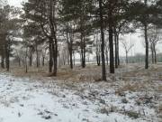 Фото: ekaraganda.kz