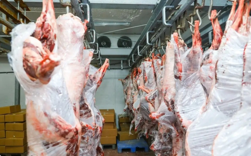 Минсельхоз Казахстана объяснил низкий спрос на мясо сайгаков