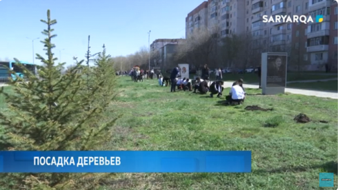 Члены Ассамблеи народа Казахстана Карагандинской области высадили деревья в сквере Майкудука