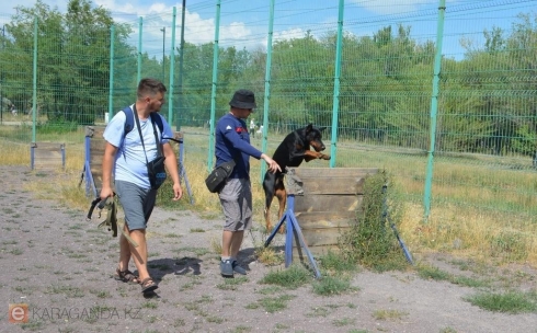 Где нужны новые площадки для выгула собак в Караганде?