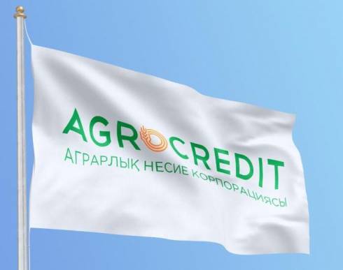 Дополнительно 30 млрд тенге выделили на льготные займы для фермеров Карагандинской области