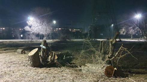 В Караганде спилили деревья в районе гостиницы Cosmonaut