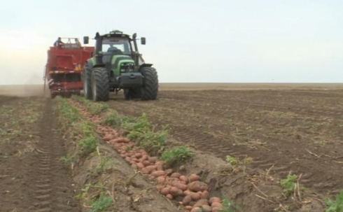 Аграрии Карагандинской области применяют новые технологии