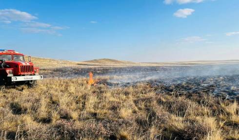 За выходные в Карагандинской области дважды горела степь