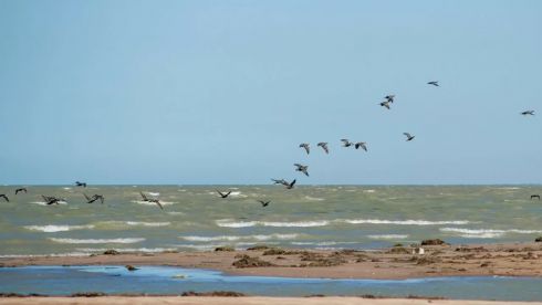 Стало известно, сколько воды направили в Каспийское море