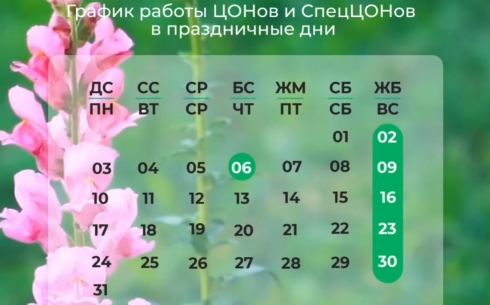 Как будут работать ЦОНы в праздники в Караганде