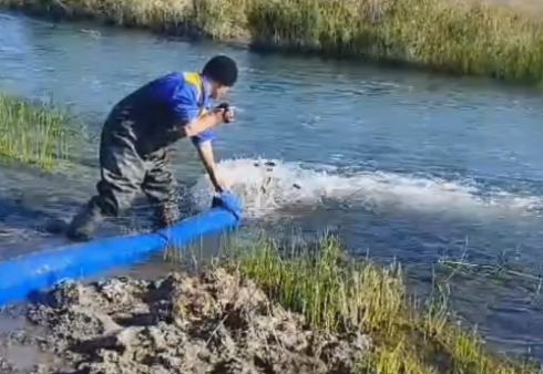 В Балхаше продолжается кампания по зарыблению озера