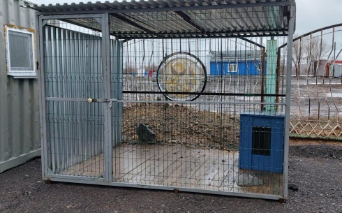 Есть замечания: в Караганде центр временного содержания для бездомных животных посетили общественники