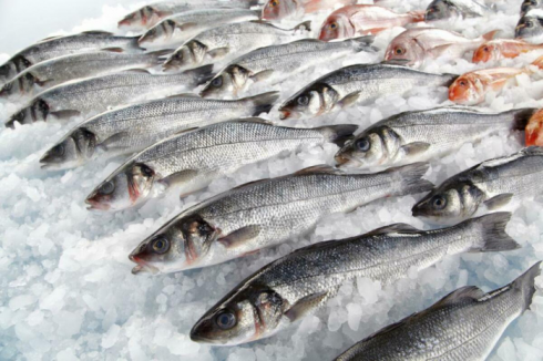 Правила субсидирования переработки рыбной продукции изменены в РК