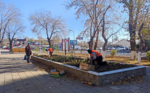 В Караганде начали высаживать многолетние цветы