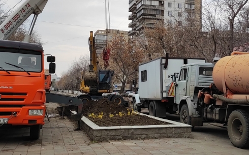 «Варварство» по-карагандински: клумбу с цветами разгромили в центре города