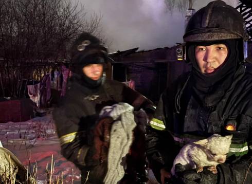 В Караганде огнеборцы спасли из пожара двух собак