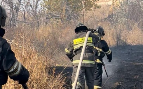 Пожар в карагандинской лесопосадке ликвидирован