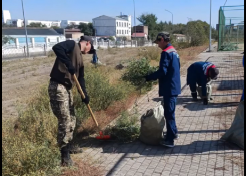 Две тонны мусора вывезли после субботника в центральном парке Балхаша