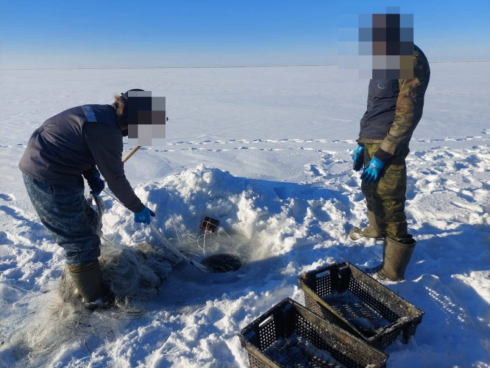 Браконьеры-рыбаки с уловом на 1,7 млн тенге выявлены в Карагандинской области