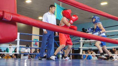 Бьют как взрослые: детский турнир по боксу проводится в Караганде