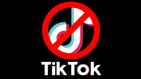Заблокировать TikTok в Казахстане предложил депутатам PR-эксперт