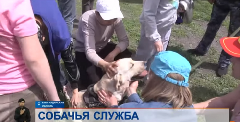 Собачья служба: кинолог показал «изнанку» работы и растрогал казахстанцев