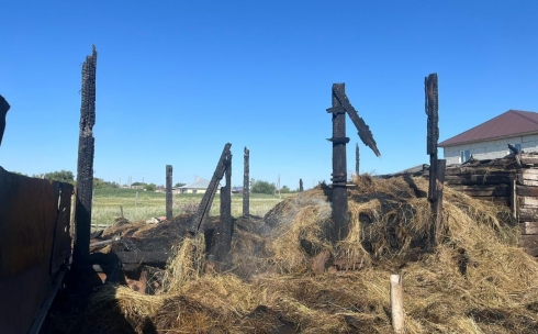 В поселке Карагандинской области горело сено