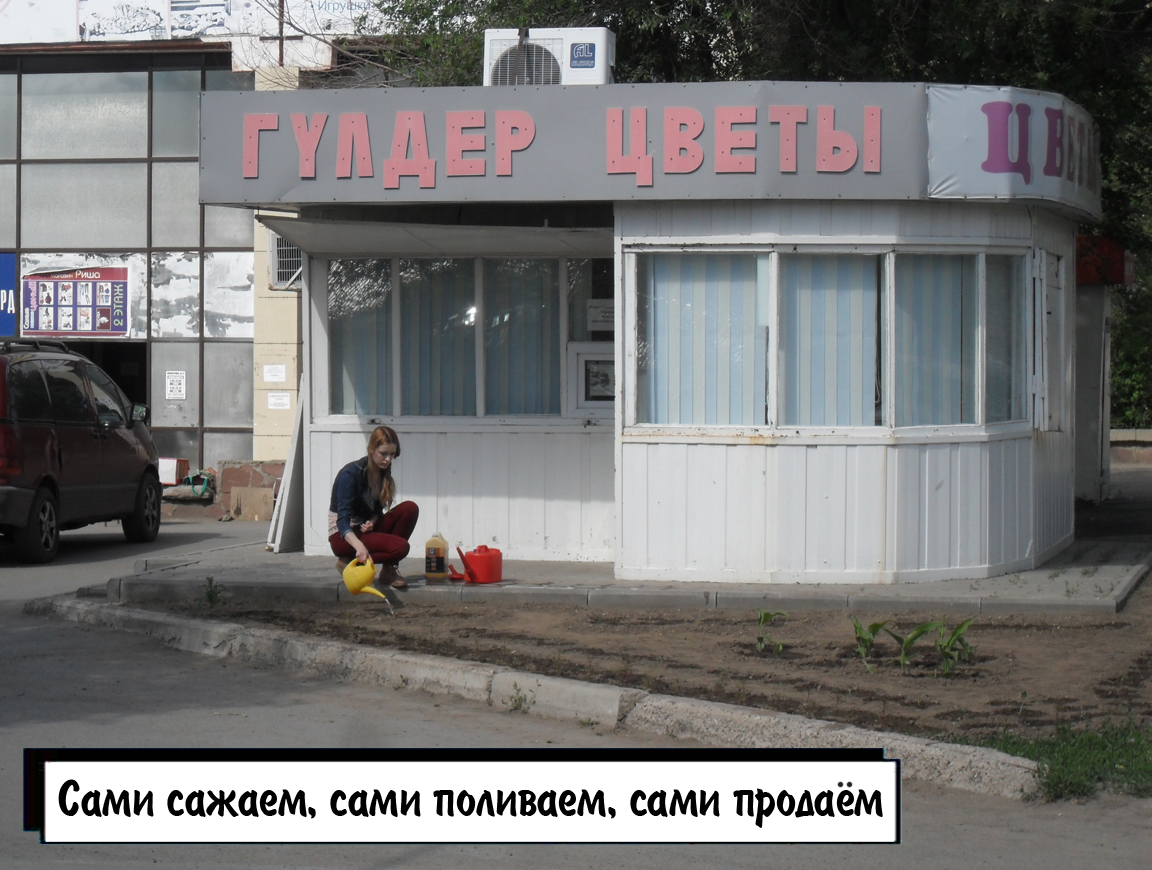 Магазин хабаровске садим сами. Магазин сади сам в Хабаровске. Магазин садила. Сади сам Хабаровск режим работы. Адрес магазина сади сам в Хабаровске.