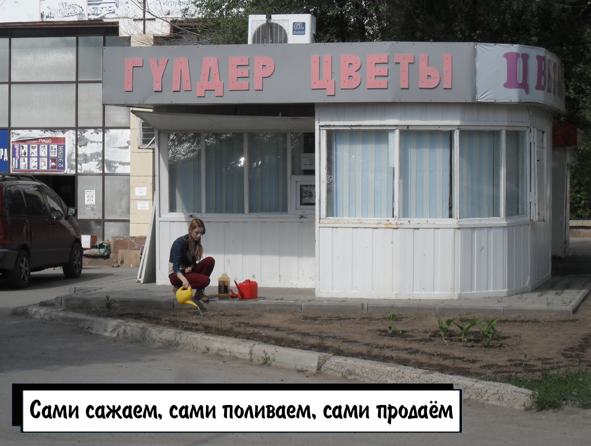 Магазин сади сам в Хабаровске. Магазин садила. Сади сам Хабаровск режим работы. Магазины сади сам в Хабаровске адреса.