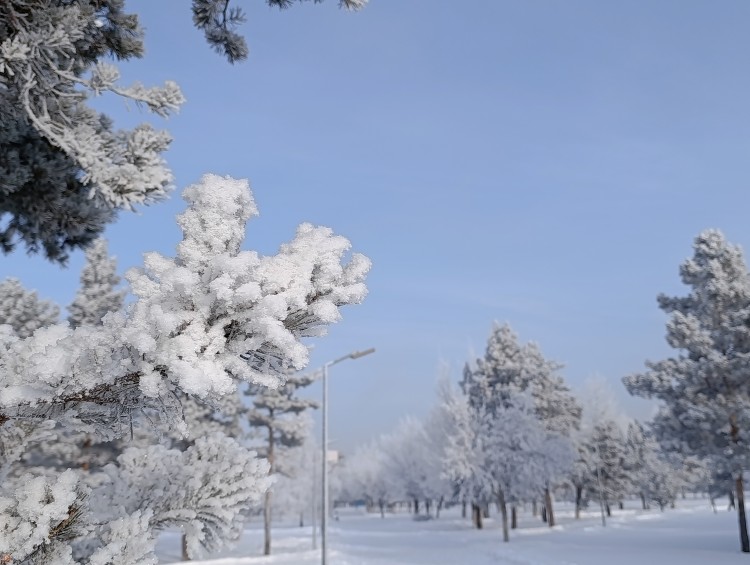 Прогноз погоды на 25 февраля: мороз и ясное небо