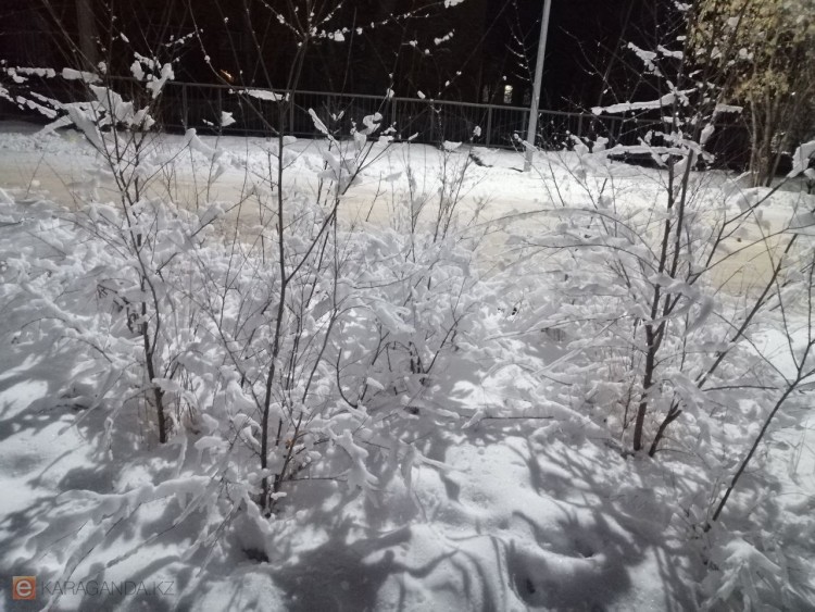 Снег и порывистый ветер: какая погода ожидается в Караганде и области 17 марта