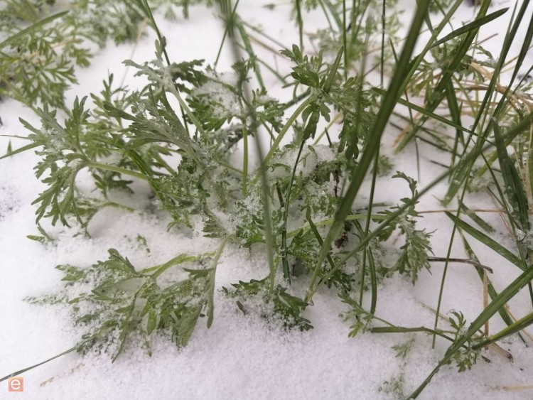 17 апреля: в Караганде и области ожидается холодная ночь и слабое потепление днём