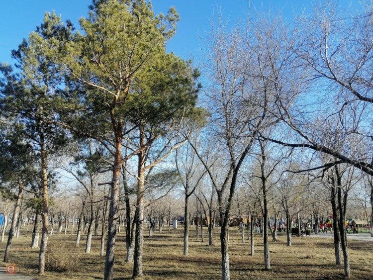 Весна набирает силу: какая погода ожидается в Караганде и области 2 апреля