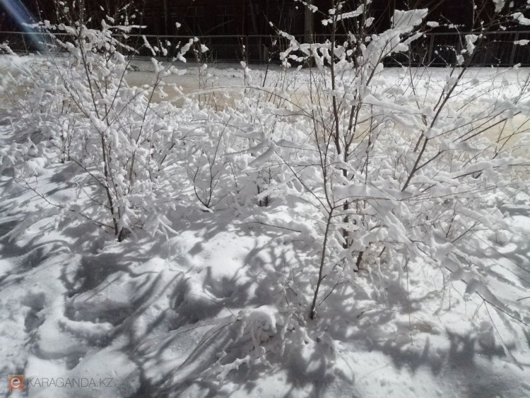 Какой будет погода 5 марта в Караганде и области