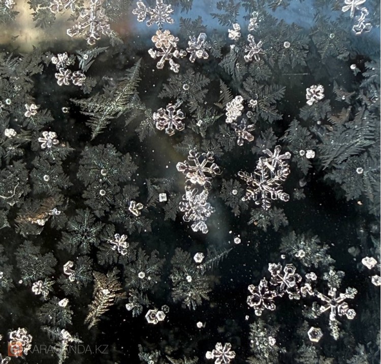 Мороз и снег: прогноз погоды на 5 февраля в Караганде и области