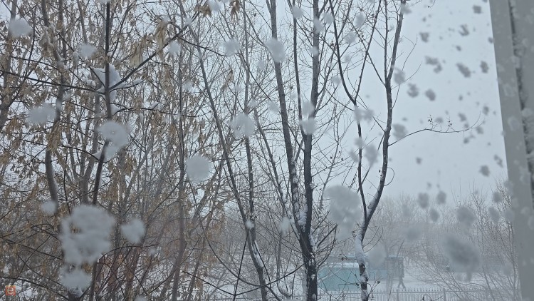 Ескі еркек жыныс мүшелерінің порносы Қара ерлермен әдемі қыздардың қатысуымен онлайн порно