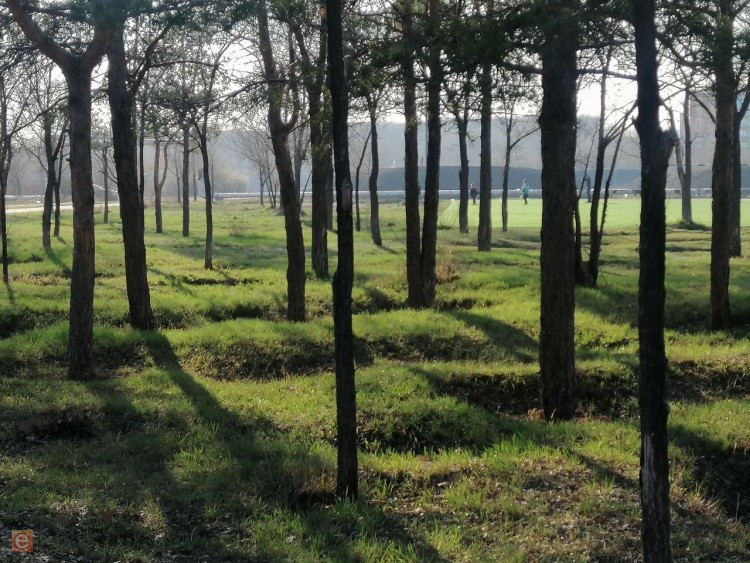 Погода на 14 апреля: в Карагандинской области сохранится весенняя неустойчивость