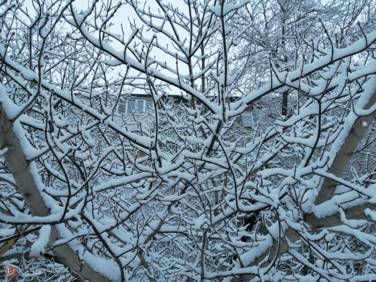 Ясное небо и морозы: какой будет погода в Караганде и области 20 февраля